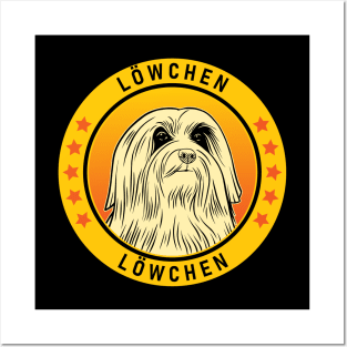 Lowchen Dog Portrait Posters and Art